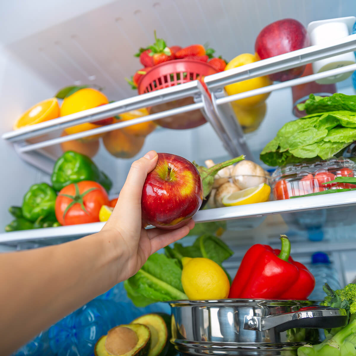 conservazione degli alimenti